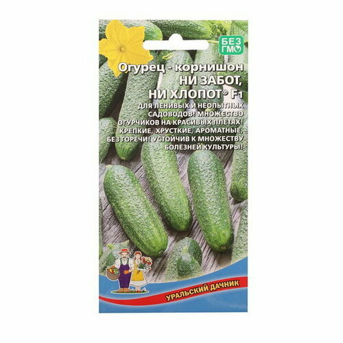 ���������� ������ ������ 