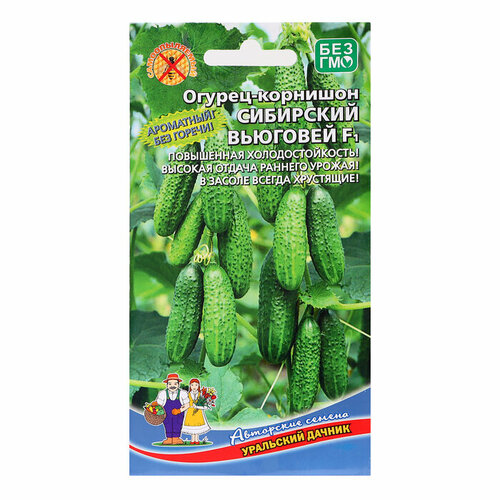 ���������� ������ ������ 