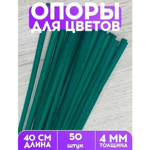 ���������� ������� ���������� ����� ��� ��������, ������ � �������, ����������� ����� 40 �� 50 ����, ������� ������� ������� 4 ��