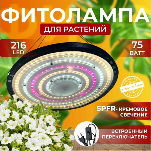         ,  ,  ,     216 LED 75    , -, 