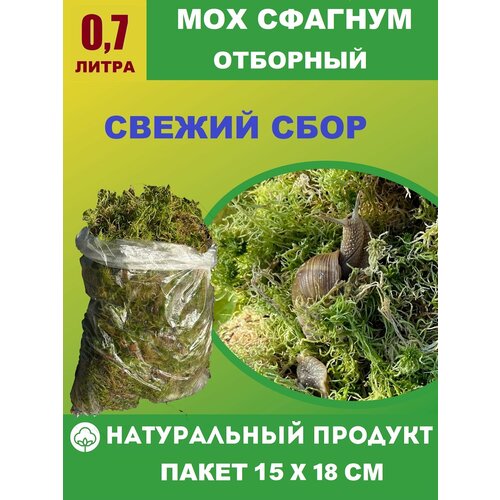 ���������� ����� ��� ������� �������� 0,7 ����� ��� �������, ������, ��������