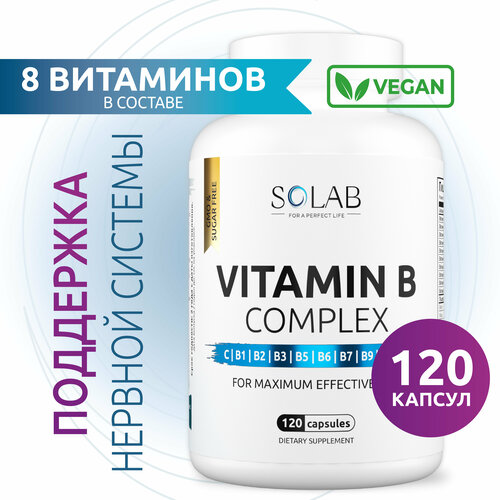 ���������� SOLAB �������� ������ � ��������: b1, b2, b3, b5, �6, b7, b9, �12 ��� ������ � ������