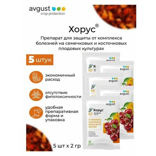 ���������� �������� AVGUST 