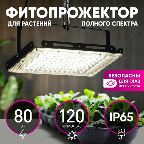      FITO-80W-Ra90-LED-Y     , -, 