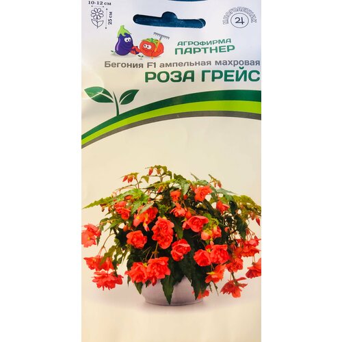 ���������� ������ ������� ��������� �������� 