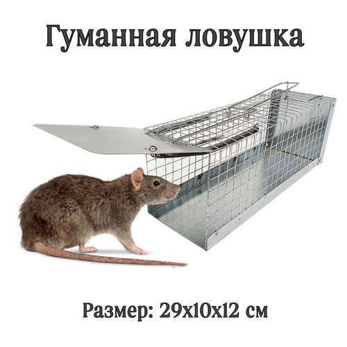 ���������� ���������� ������ ������ + ����� �1 �� ����