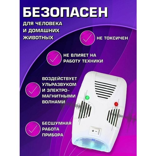 ���������� �������������� ������������ ����, �����, �������� � ���������