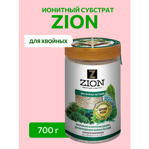         ZION ()   700    , -, 