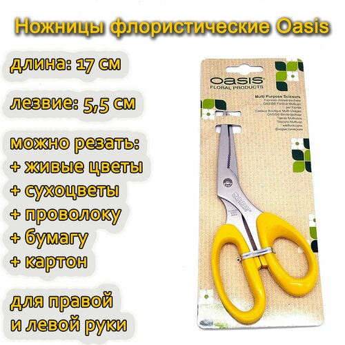    Oasis Multi Purpose Scissor, 17.   , -, 