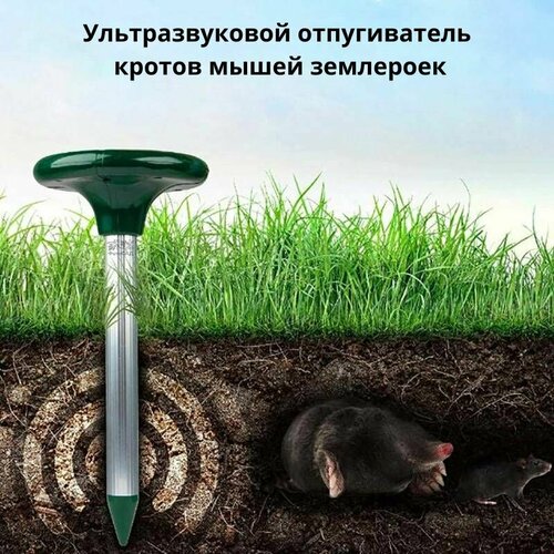 ���������� �������������� ������������ 