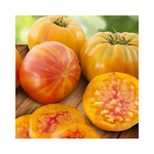 ���������� ������������� ������ ������ ������� �������