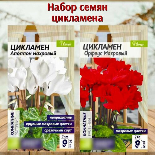 ���������� ������ ������ �������� �������� ����� 2 ��.