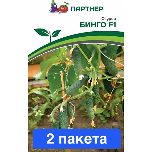 ���������� ������ ������ ��������� ������� 