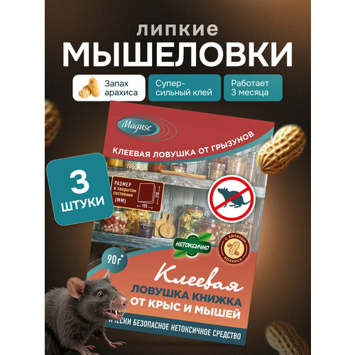 ���������� ������� ��� ����� � ���� Maguse, ������� ������� ������ �� ���� � ����� BASE, 3 ��