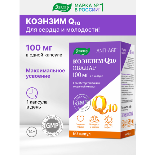 ���������� ������� Q10 ����., 100 ��, 0.1 �, 60 ��., 1 ��.