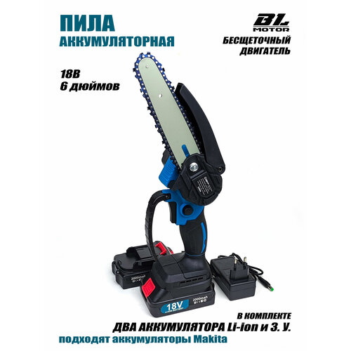 ���������� ���� �������������� �����������