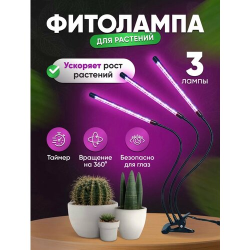 ���������� ������������ ��������� - ��� ��������, ������ � �������/������/3 �����������