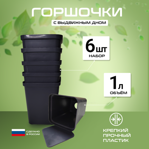 ���������� �������� � ��������� ���� ��� ������� 1�, ����� ������������� ��������� 6��, ������