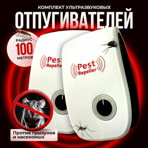 ���������� �������������� ������������ �������� � ���������, �����, ���������