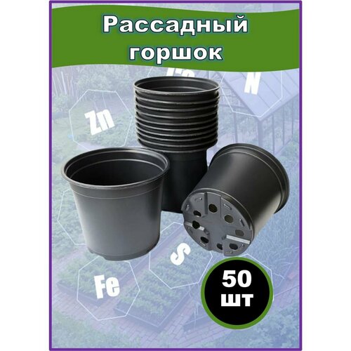 ���������� ������ ��������� �������, ����������� 1�, 50��