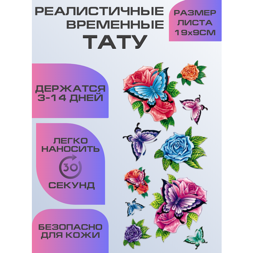 ���������� ���� ���������� ��������������, ��������� �������