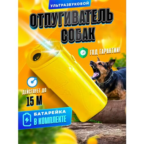 ���������� ������������ ����� � ������� �������� �������������� � ���������