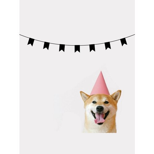 ���������� �������� �������� �������� �� ���� ������ - ������