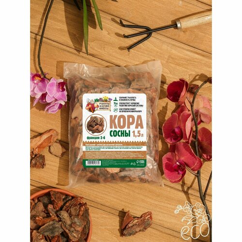 ���������� ���� ����� 