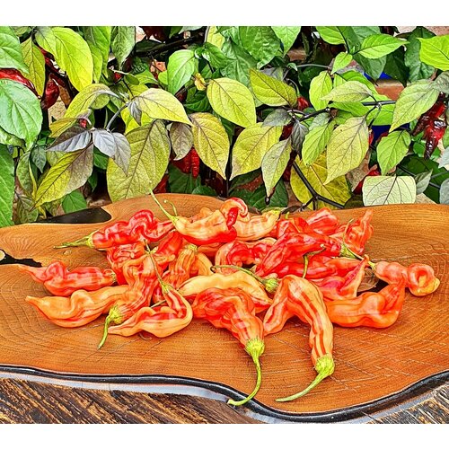 ���������� ������ ����� ���� �������� ��������� ��������� (Sugar Rush Striped) / Seeds And Goods / � �������� zip-lock ��� ���������� 10 �����