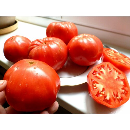 ���������� ������������� ������ ������ 