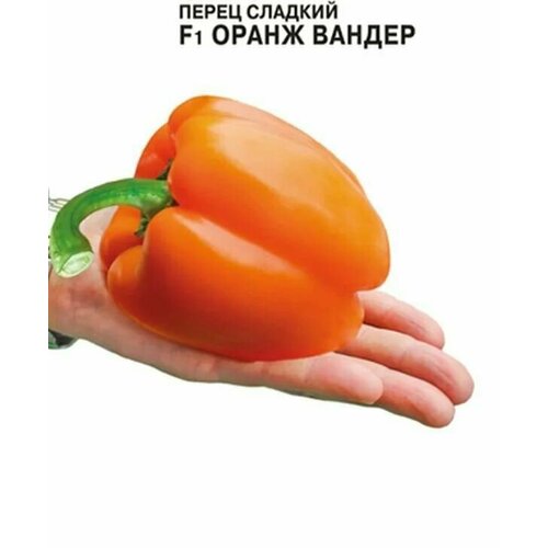 ���������� ������������� ������ ����� �������� ����� ������ F1