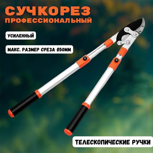 ���������� �������� ������� ��������������� 680-1020 ��, ������������ ��������, ���� �� 50 ��, � ������������, ������������������ ����� SK5