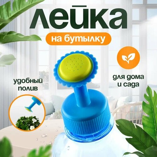 ���������� ������� ����� ��� ������, �������, ������� �� ������� 