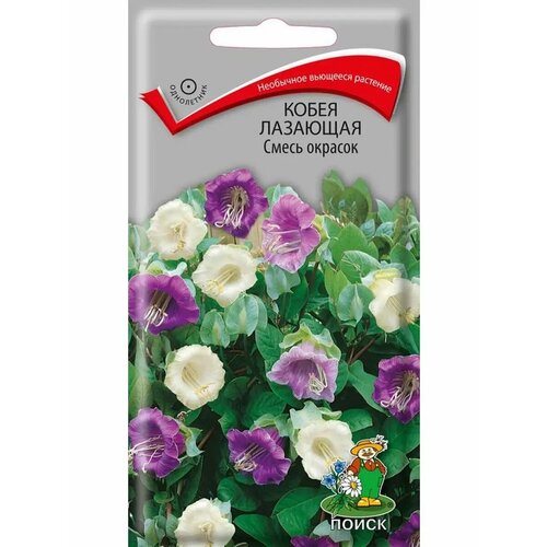 ���������� ������ ����� �������� ����� ������� ���������� 5 ��.