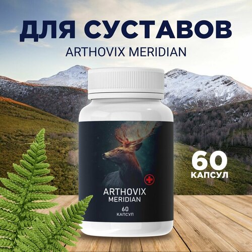     Arthovix Meridian   , -, 