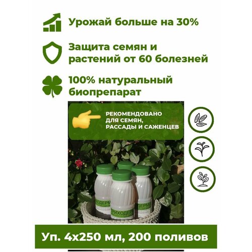 ���������� ���������� ���������� - ����������� ������ 4 ���. �250�� ����������� ��������� ��� �������� ������ ����. ����� �������� �� ����� 60 ��������, �������� ����������� �� 30%.