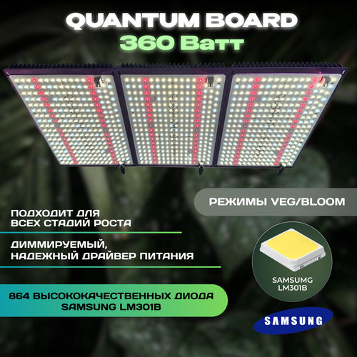  Quantum Board 360 ,  Samsung LM301B      , -, 