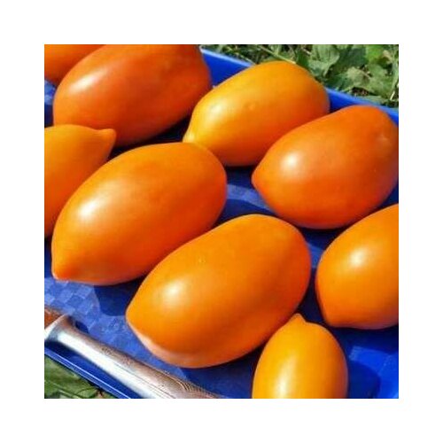 ���������� ������������� ������ ������ ������� ����������