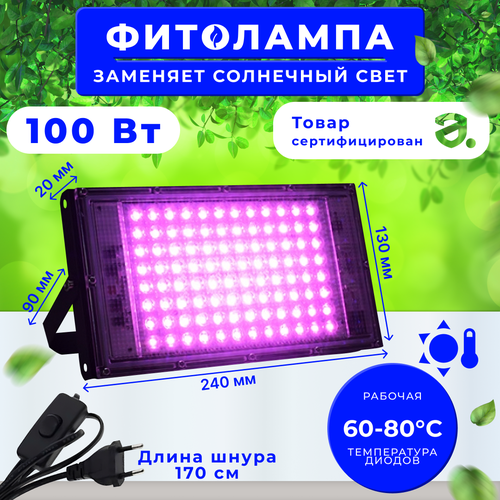    100 ,   ,  ,  ,       , -, 