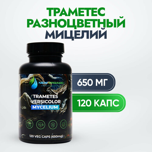 ���������� �������� ������������, ������� 120 ������