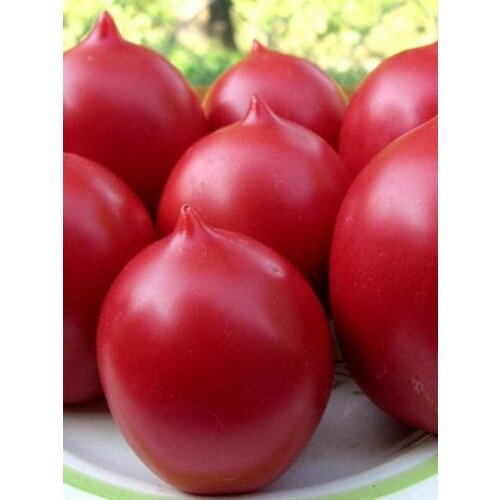 ���������� ������������� ������ ������ �� ����� �������