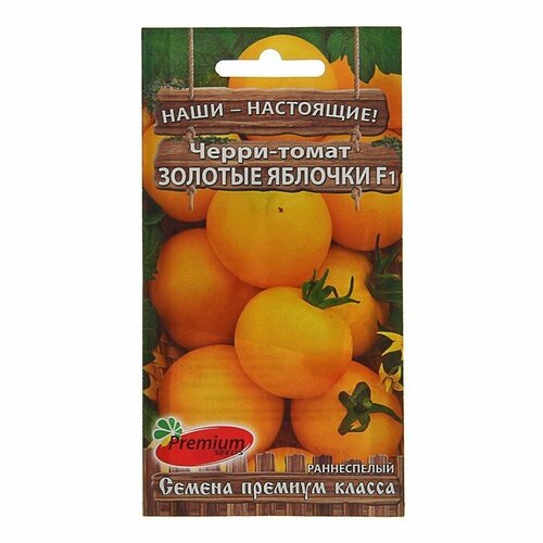 ���������� ������ ����� ����� 