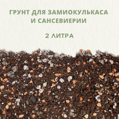 ���������� ������� ����� ��� ������������� � �����������. ����� ��� ��������� ��������. 2 �����