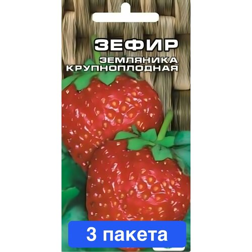 ���������� ������ ������ ��������� ��� 