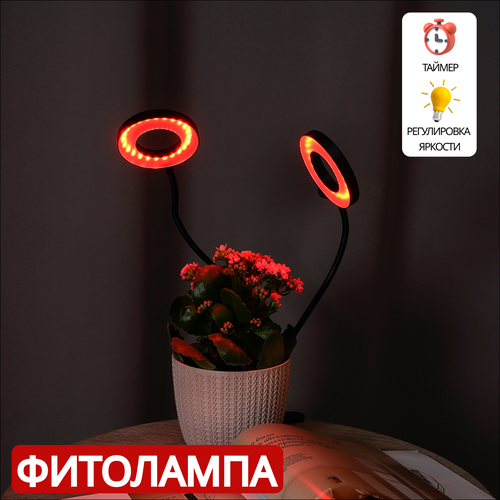 ���������� ��������� ��� ��������, ������ � �������