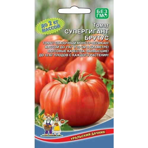 ���������� ������ ����� ����������� ������ 20�� ��������� ������