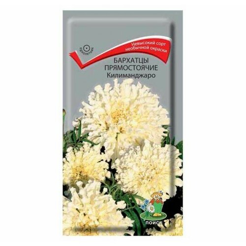 ���������� ������ �������� ������ ������������, 0.1 � (1 ��.)