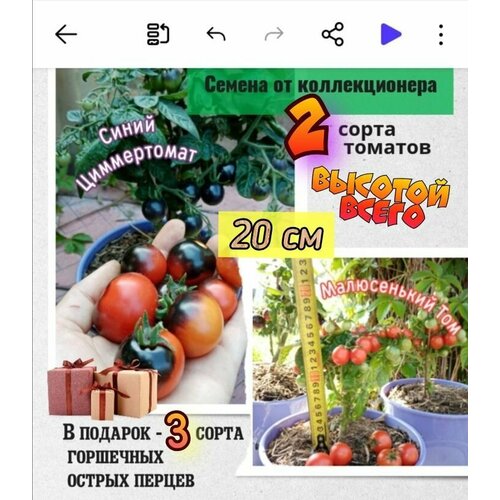 ���������� ������ ��� ���������� �����������, ����� ����������� � ����������� ���, �������� �������� � ���, ������������� �����