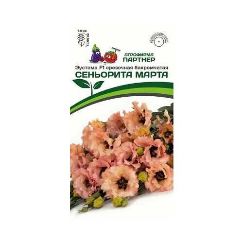 ���������� ����� ������� ��������� ����� F1 ����������� ��������� (5 �� � ���) ������� ������� 2023!