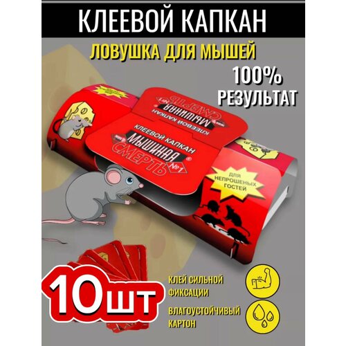 ���������� ������� �������, ������� ������, ������� ������ -10��